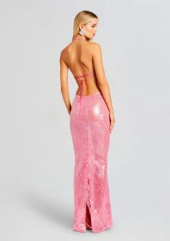 Shivonne Sequin Lace Dress 10 Shivonne Sequin Lace Dress -LUCY Clothing Shop Ecommerce Crop 23 11 15 SHIVONNEDRESS PARADISEPINK 2353 ECOMM